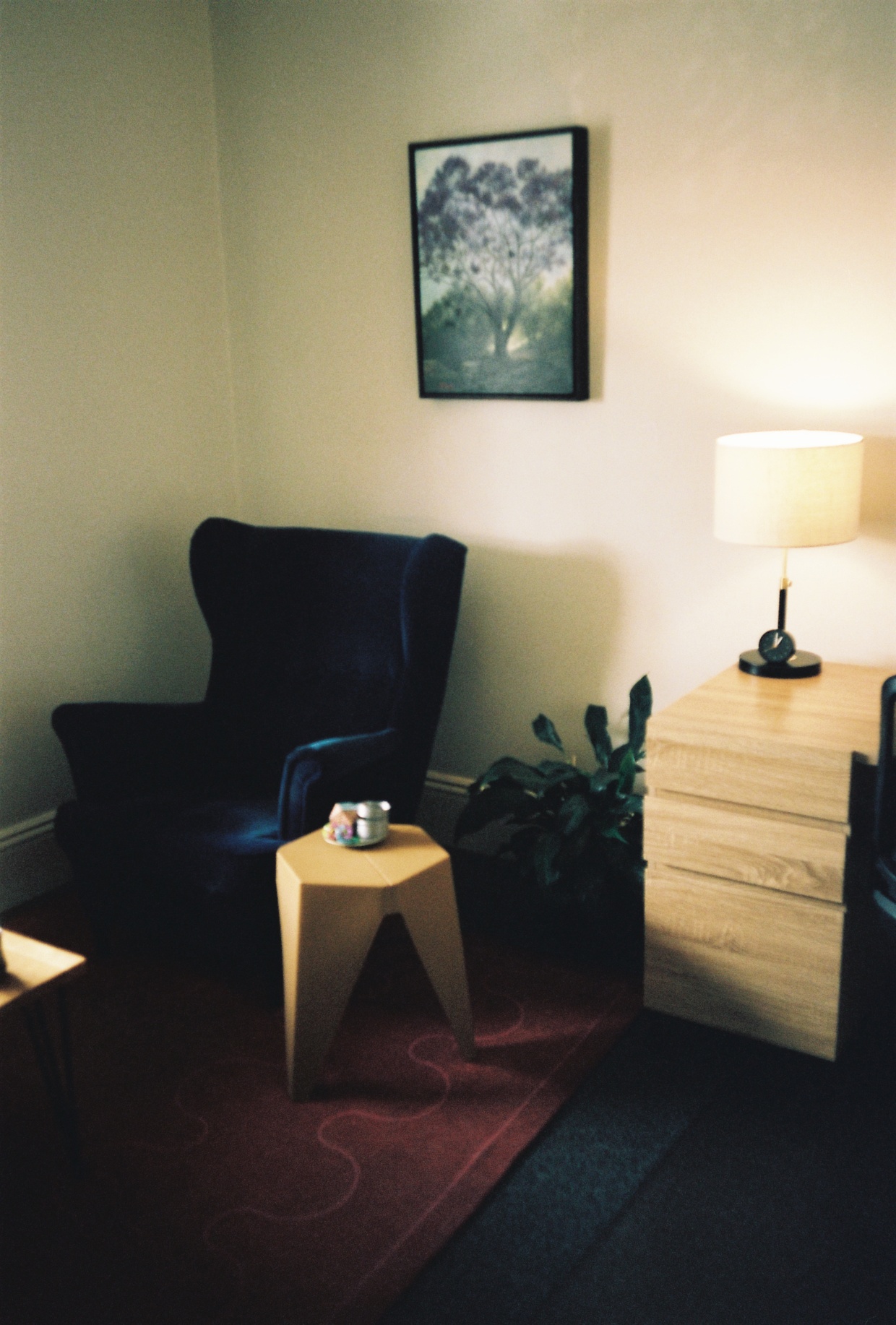 Fagus Psychology office